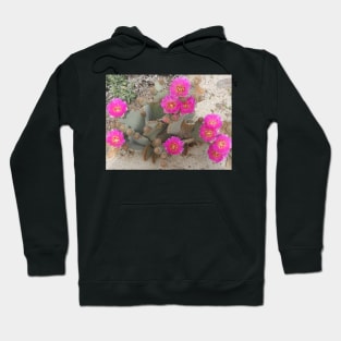 Beavertail cactus, nature, gifts, Desert Beauty Hoodie